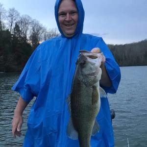 Meet your Posher, Bill